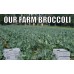  SPRAY FREE BROCCOLI MEDIUM Each - KATIKATI Grown